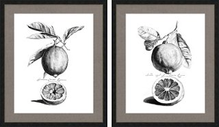 Citrus Drypoint Diptych Art