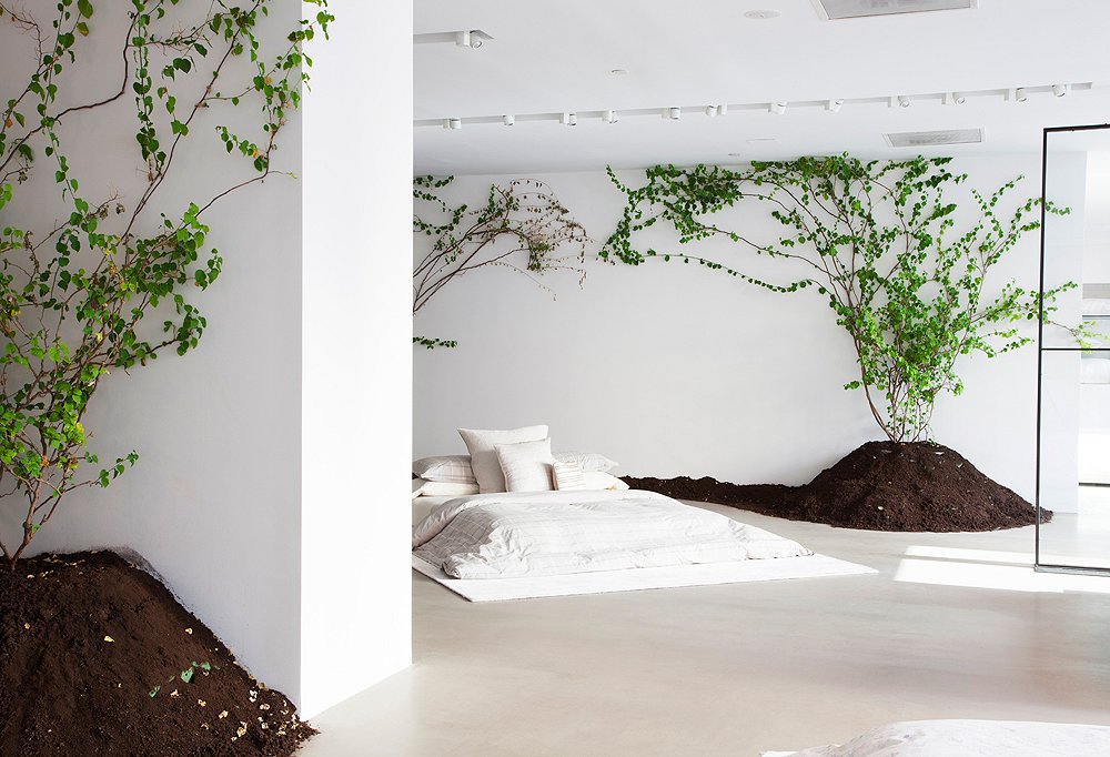 Meet the Creative Force Behind Calvin Klein Home  The Calvin Klein Home showroom now, with live trees and plenty of dirt  installed alongside