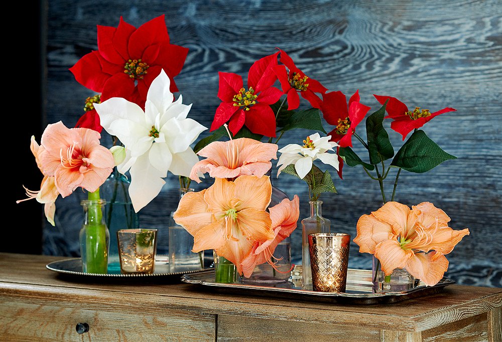 Decorating With Poinsettias One Kings Lane