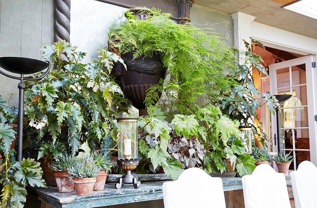 Antique mirrors, graceful hurricane lamps, and marble-top tables add elegance to a room filled with plants.
