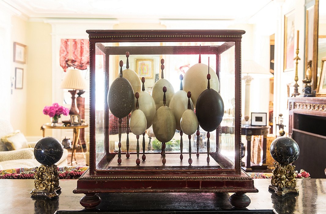 Early 19th-century Europeans traveling to far-off places would bring home eggs laid by native birds and display them in glass boxes. “This symbolizes all the things I really love: traveling, learning, and exploring.”
