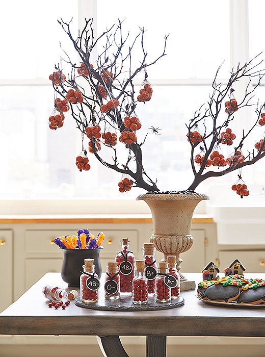 For a spooky and stylish display, Dylan opted for a weathered urn with web-entangled branches.
