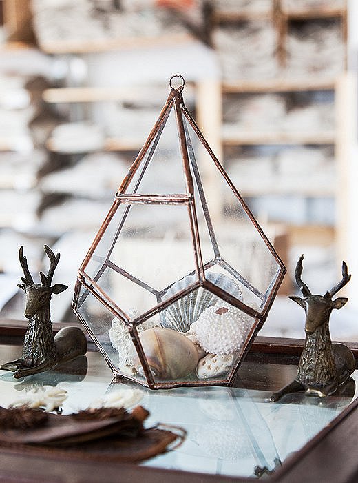 Another of Housley’s collections—seashells plucked off beaches from Big Sur to Fire Island—resides in a terrarium made by a friend of hers, Ashley Bram-Johnson of ABJ Glassworks.
