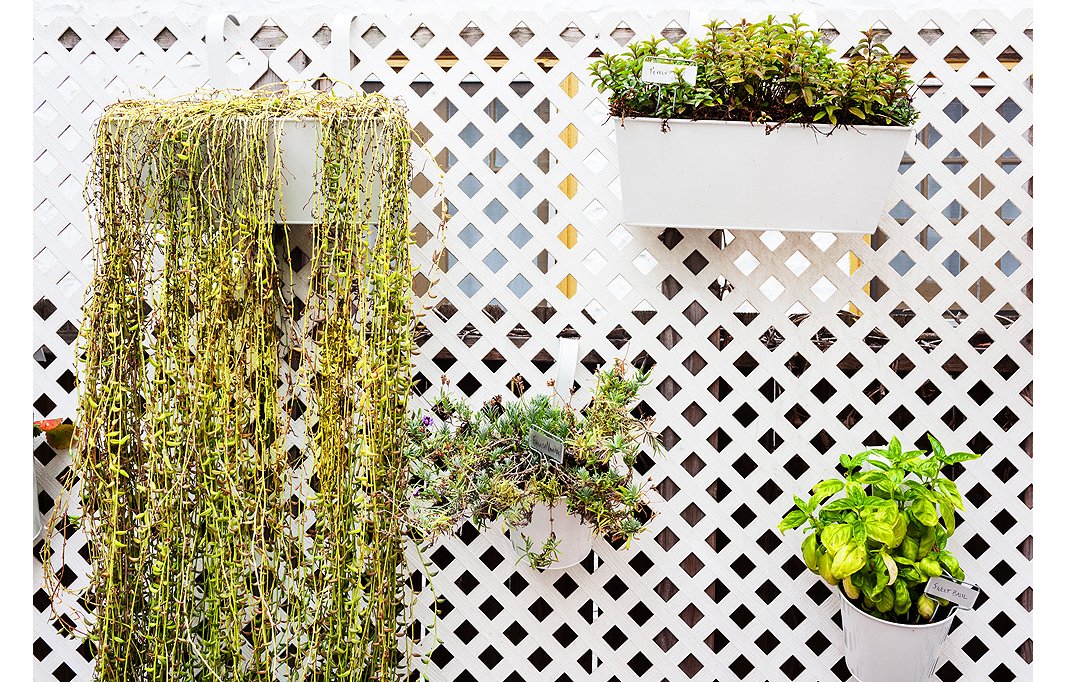 To avoid crowding her outdoor space, Morris used the trellis for hanging pots filled with herbs, berries, and succulents.
