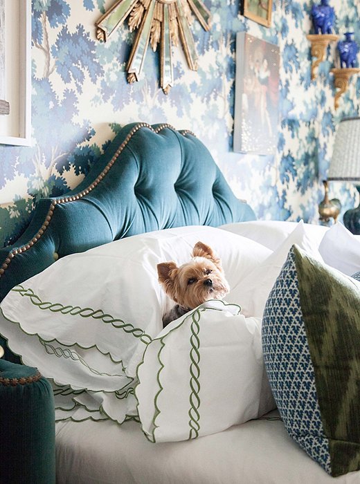 Teddy tests out the freshly pressed Leontine Linens sheets in the bedroom. “He’s an amazing traveler—he goes all over the world with us.”
