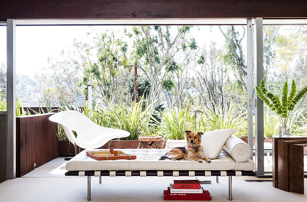 Because he was trained in architecture, form and aesthetic are always top of mind for David and Liz. As a nod to the home’s midcentury bones, they “ended up buying a fake Mies daybed because they didn’t make the real ones in white.”
