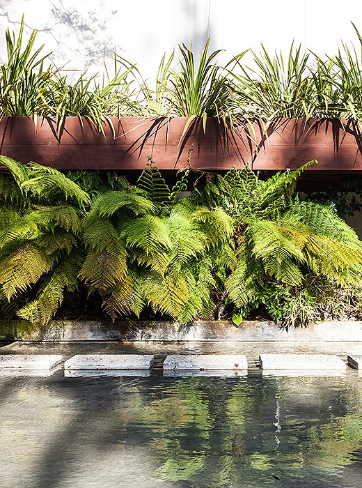 A carp pond with a mini waterfall heightens the fluidity of indoor and outdoor inherent in Neutra’s design.

