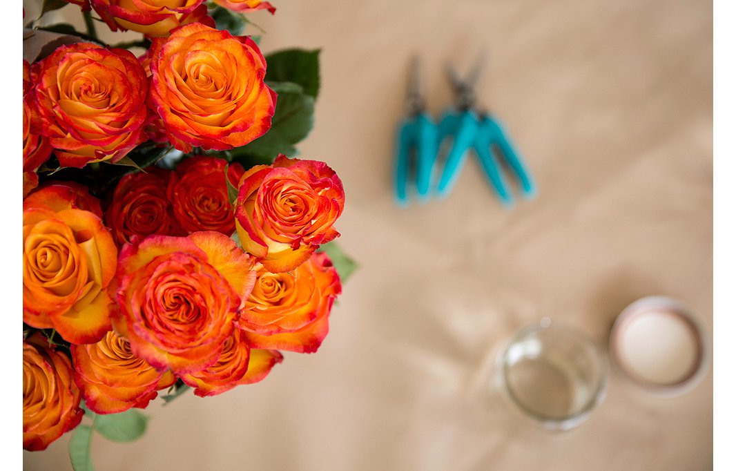 Before placing a bouquet of roses in a vase, consider trimming some to be shorter than others so that the arrangement looks fuller and more rounded, with each flower getting its due.
