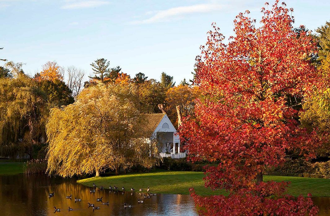 A view from At Home in the Garden; Carolyne writes: “If you can create a landscape that doesn’t only come to life in spring, it will be a source of pleasure—even when it’s too cold to venture out.”
