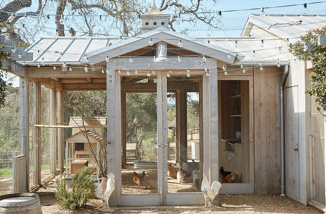 The chicken coop is framed in wood and walled with open mesh. “Champagne grapevines climb one wall, providing shade as well as a tasty treat for the chickens,” says Brooke.
