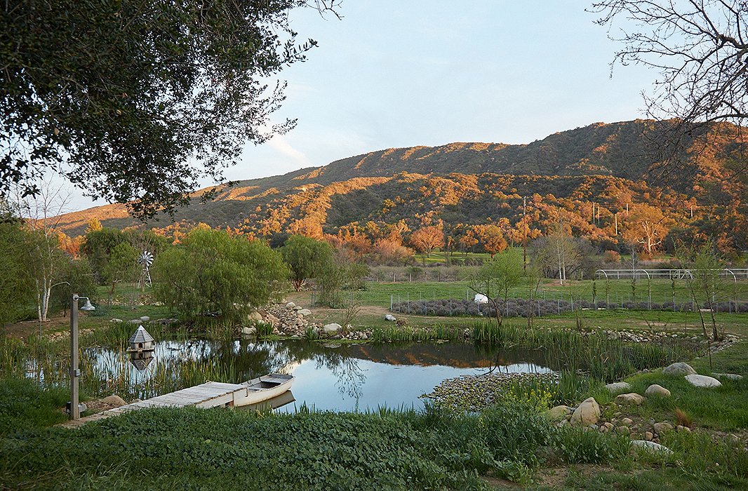 The property’s pond is a work in progress. “It has become a hobby for Steve,” says Brooke. “We’ve planted different varieties of water plants, and the frogs, turtles, and ducks discovered it and have now made it their home.” The canoe is a Craigslist find.
