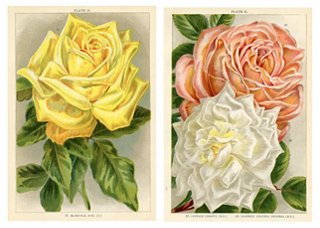 Prints with a Past Brands One Kings Lane