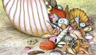 Prints with a Past Cornucopia of Seashells, 1988 One Kings Lane